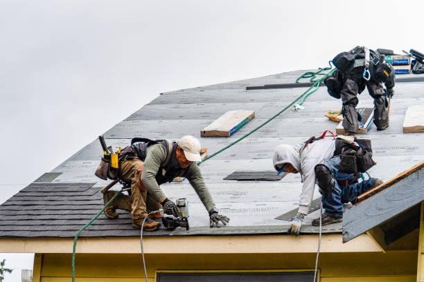 Professional Roofing technician working in Clinton Township, MI